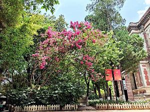 Kunming - Universite du Yunnan (12)